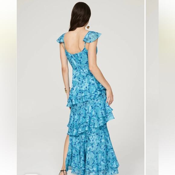 Hutch Blue Floral Ruffled Miah Gown Sz 2 MSRP $368 - Picture 4 of 15